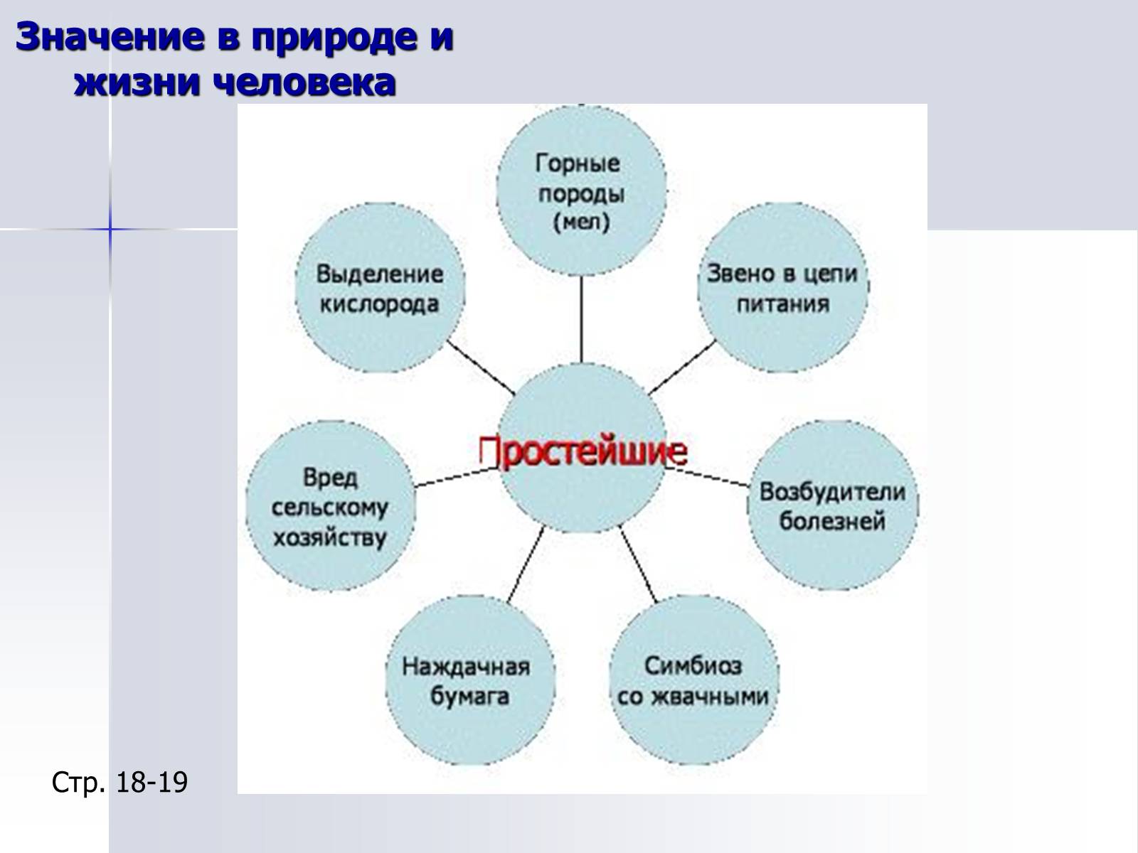 Презентація на тему «Тип Простейшие. Систематические группы» - Слайд #16