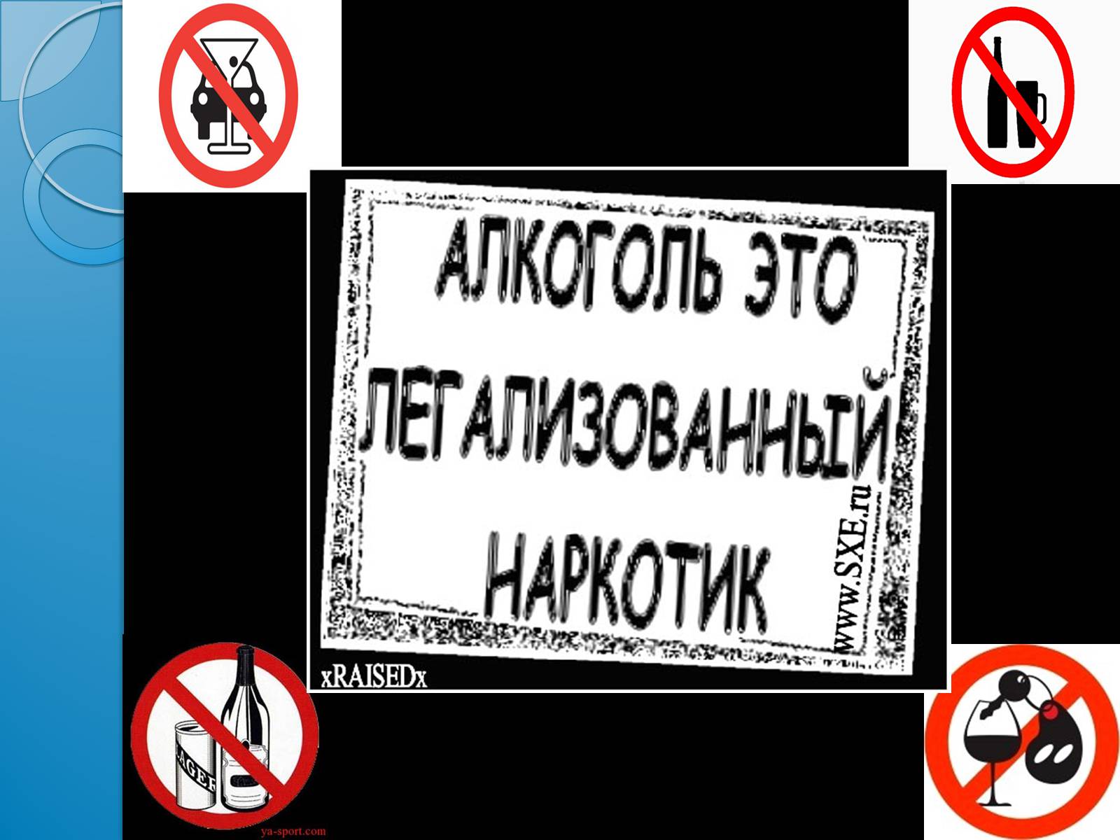 Презентація на тему «Згубна дія алкоголю на організм людини» - Слайд #9