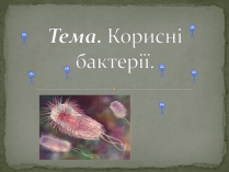 Презентація на тему «Корисні бактерії» (варіант 1)