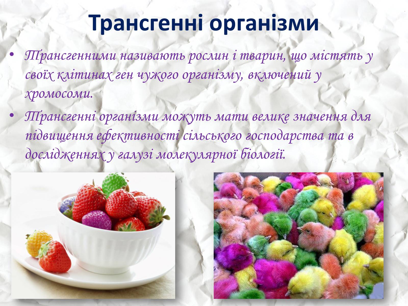 Презентація на тему «Трансгенні та химерні організми» (варіант 1) - Слайд #3