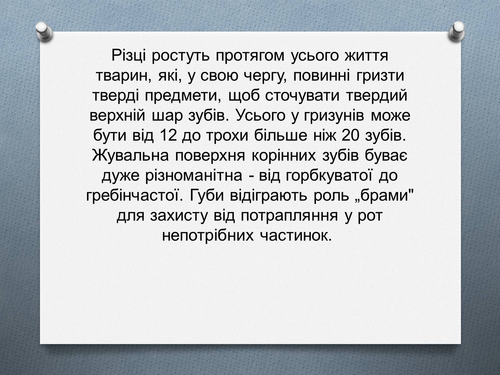 Презентація на тему «Ряд Гризуни» (варіант 1) - Слайд #6