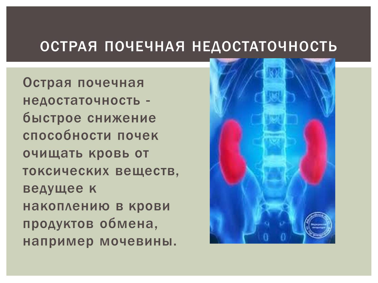 Презентація на тему «Первая помощь и течение острых заболеваний обмена веществ» - Слайд #8