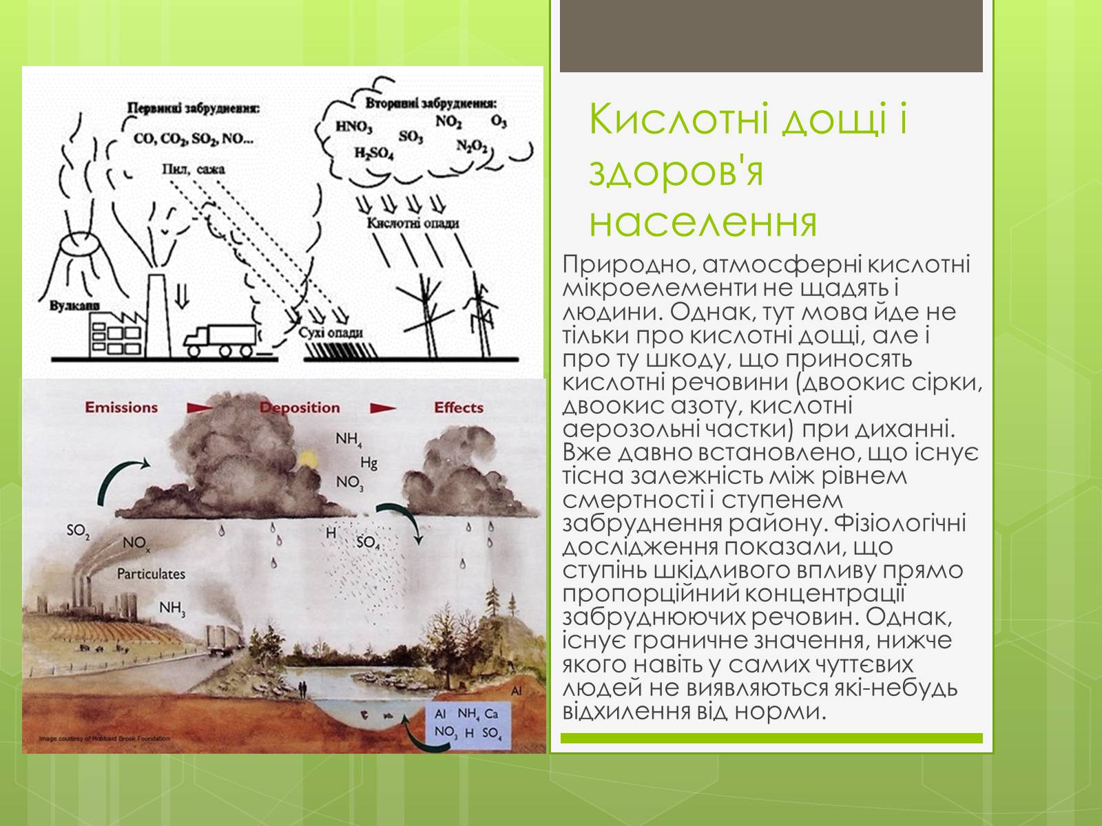 Презентація на тему «Здоров&#8217;я людини та навколишнє середовище» - Слайд #7