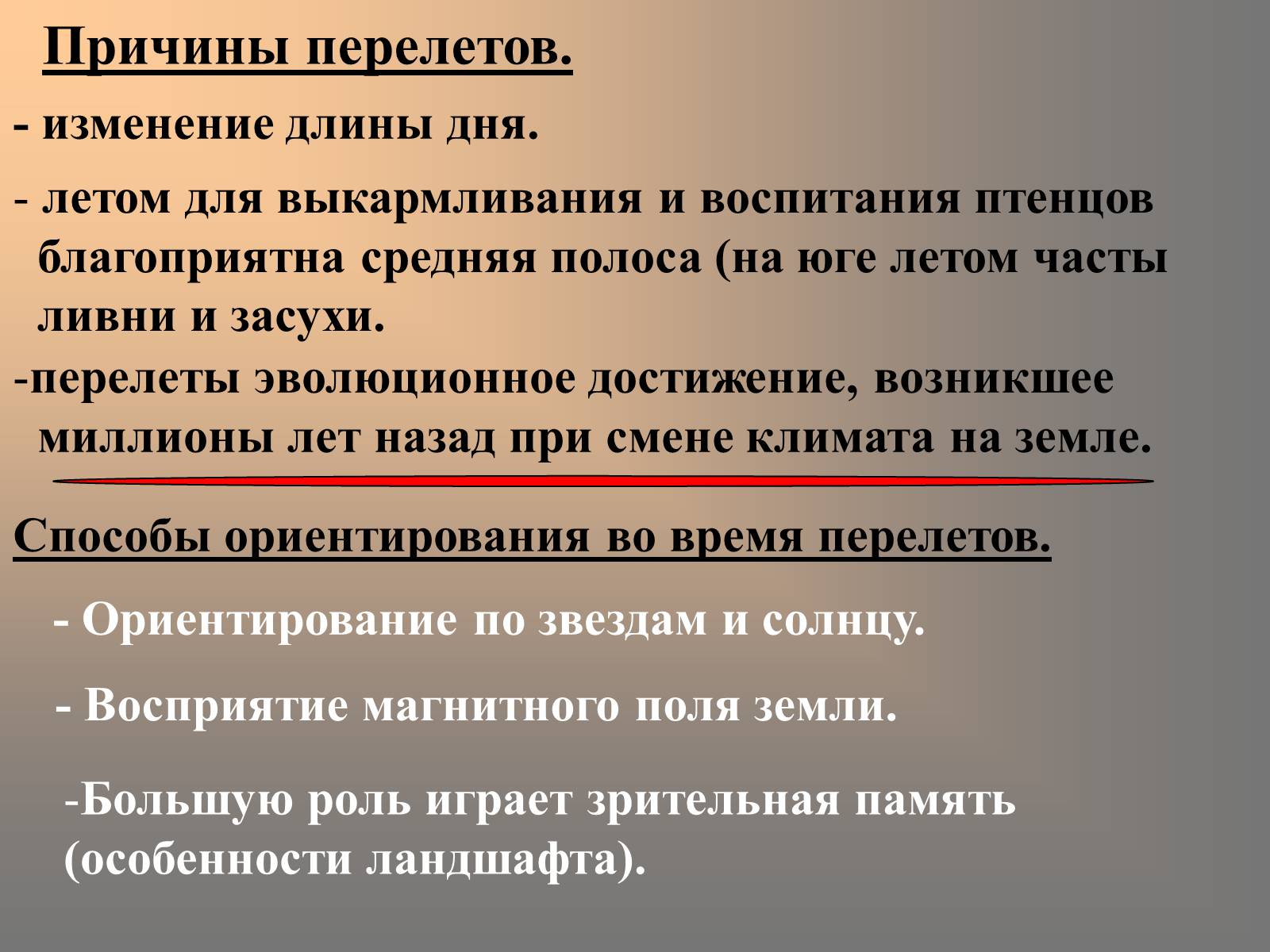 Презентація на тему «сезонные явления птиц» - Слайд #17