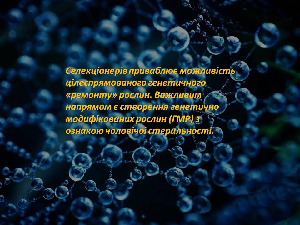 Презентація на тему «Генна інженерія» (варіант 8) - Слайд #11