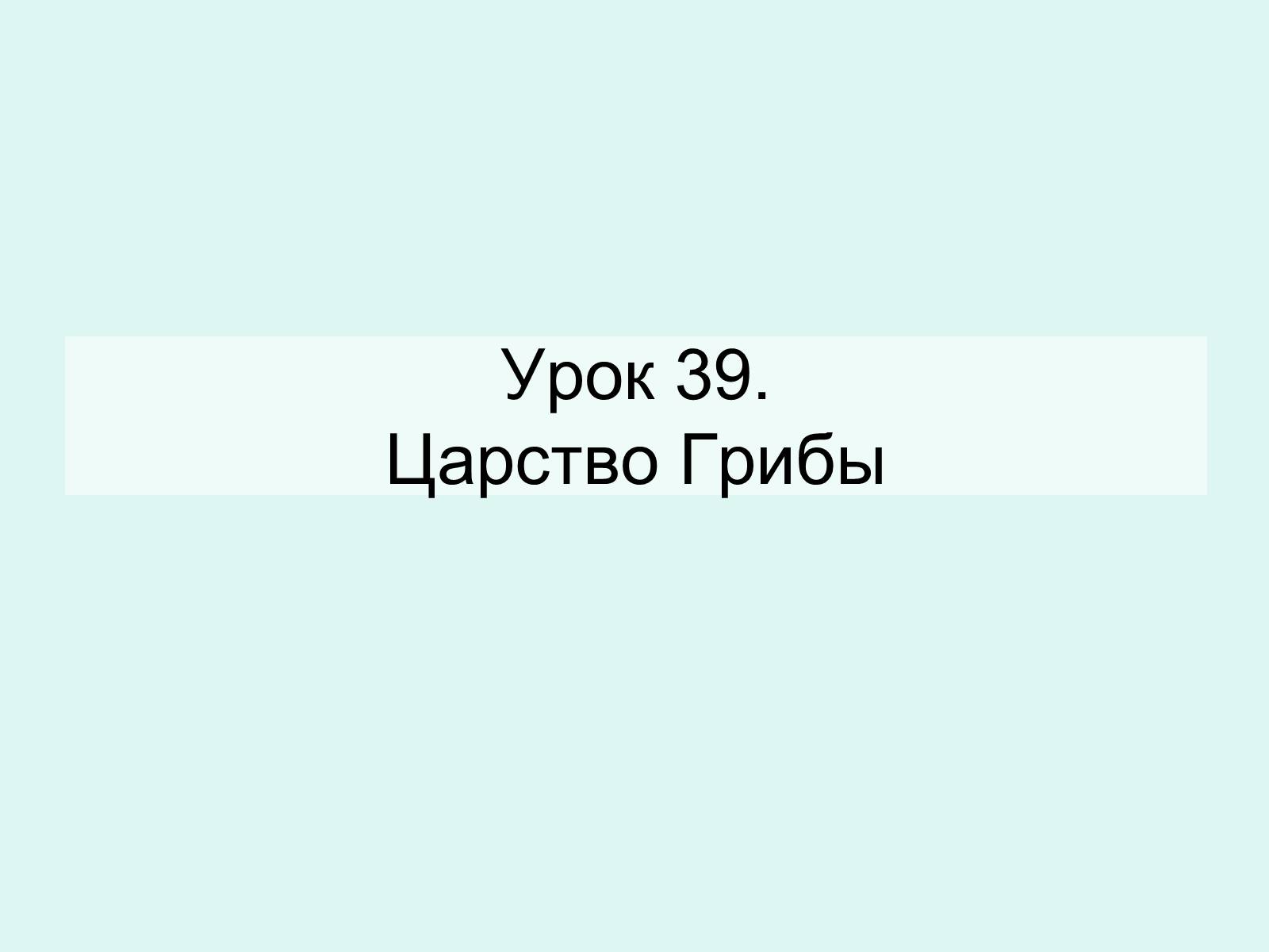 Презентація на тему «Царство Грибы» (варіант 2) - Слайд #1