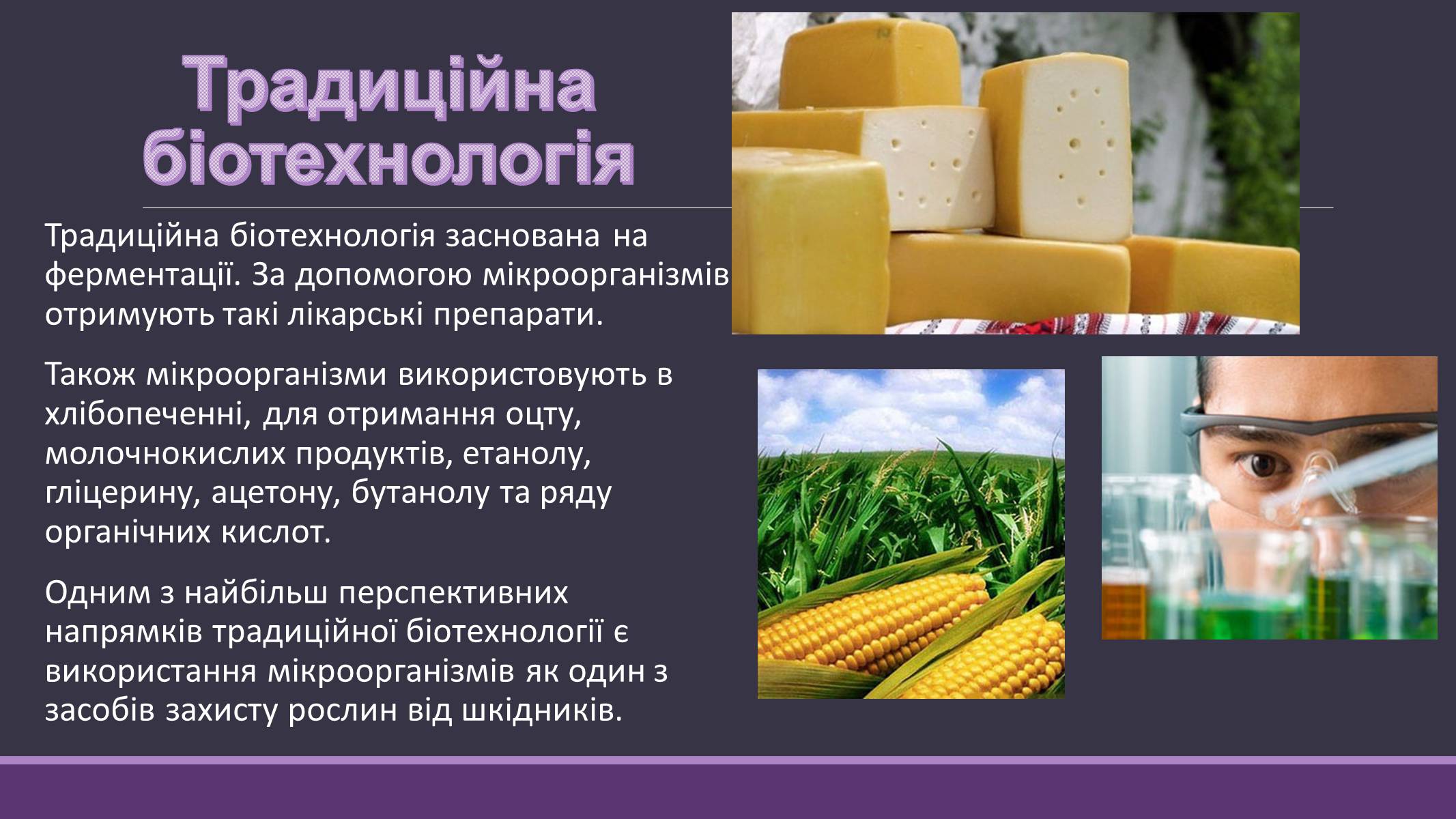 Презентація на тему «Основні напрямки сучасної біотехнології» (варіант 4) - Слайд #8