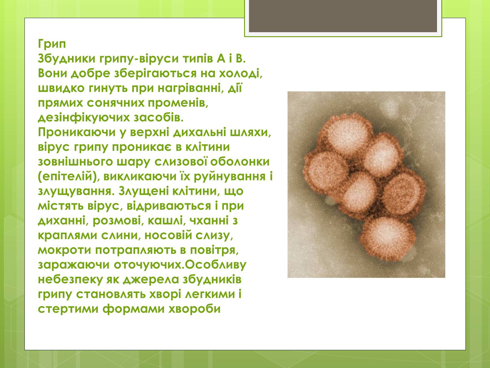 Презентація на тему «Заходи щодо профілактики вірусних хвороб» - Слайд #8