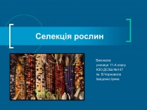 Презентація на тему «Селекція» (варіант 8)