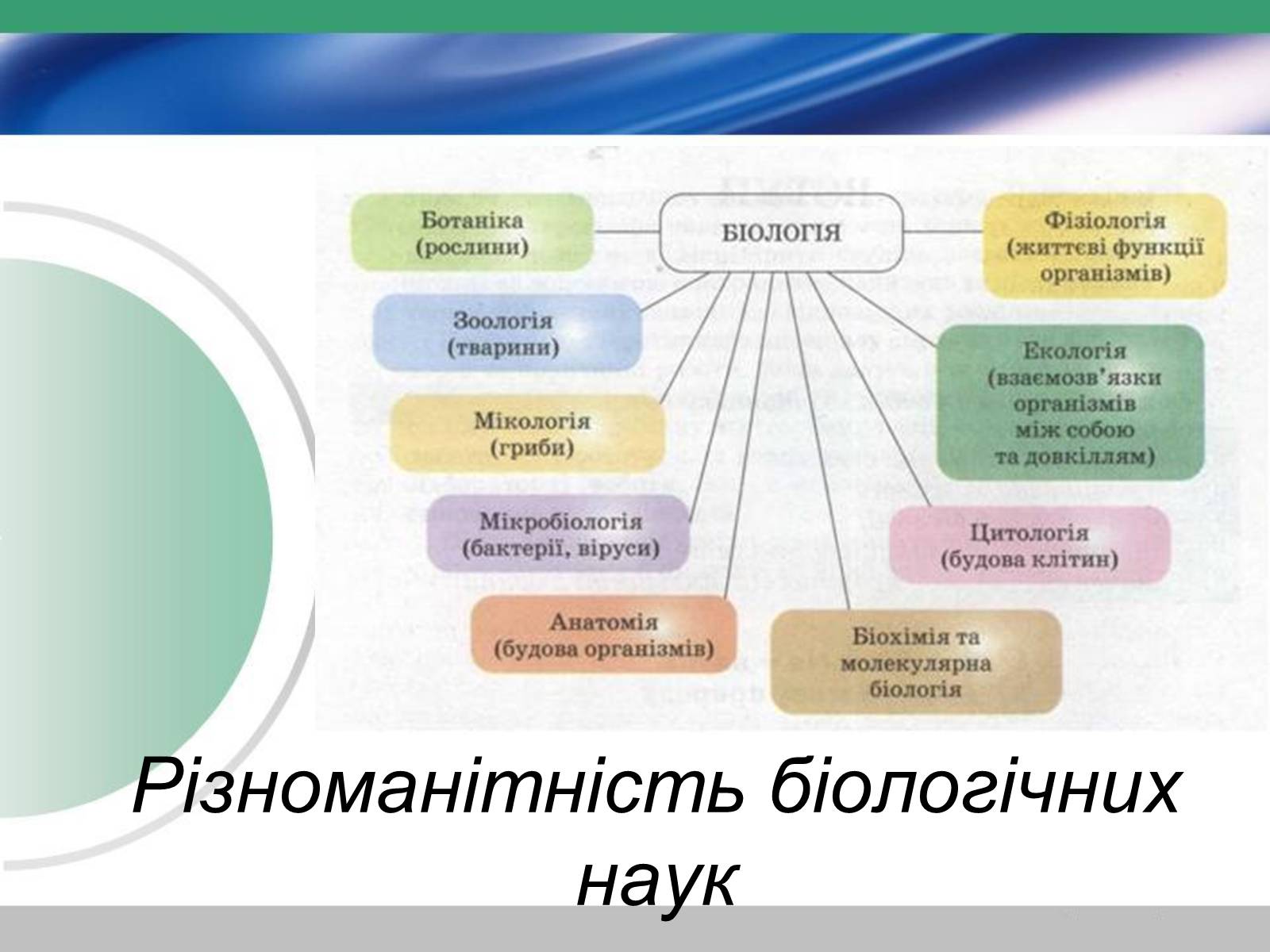 Презентація на тему «Біологія — наука про живу природу. Значення біології» - Слайд #4