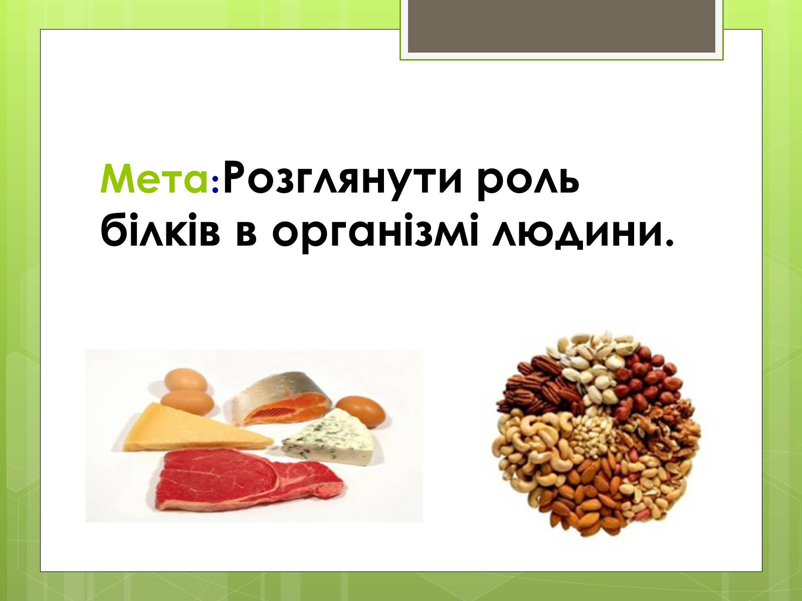 Презентація на тему «Роль білків в організмі людини» - Слайд #3