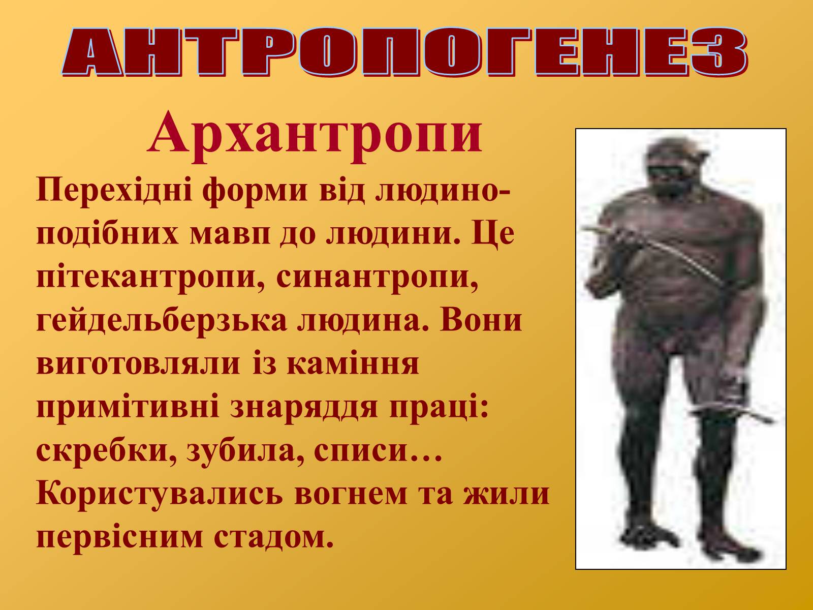 Презентація на тему «Антропогенез» (варіант 2) - Слайд #6