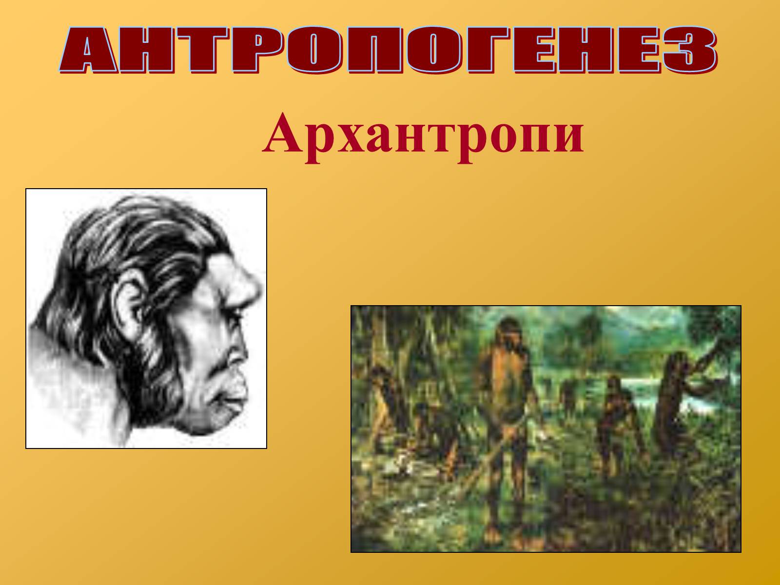 Презентація на тему «Антропогенез» (варіант 2) - Слайд #7