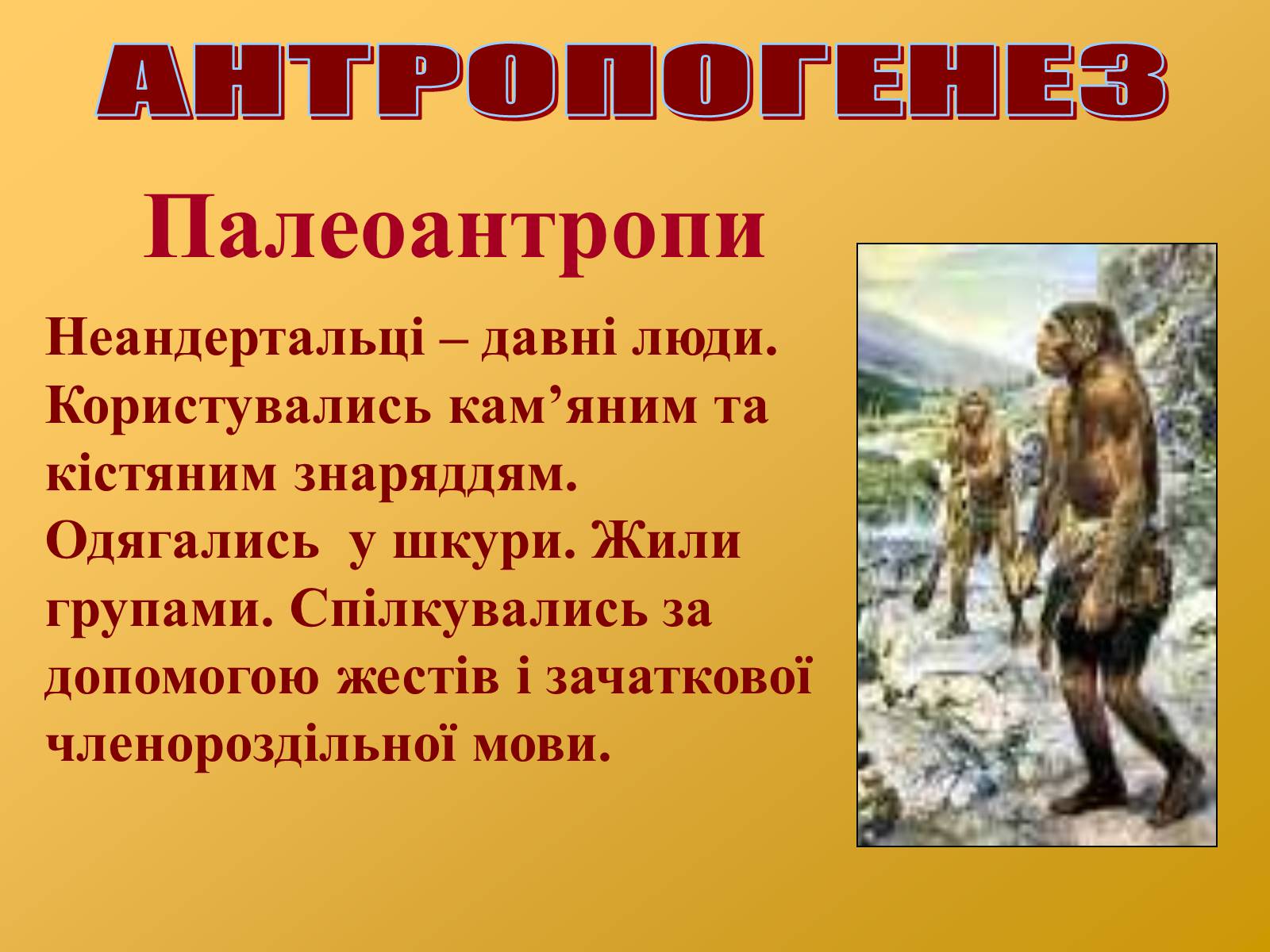 Презентація на тему «Антропогенез» (варіант 2) - Слайд #8