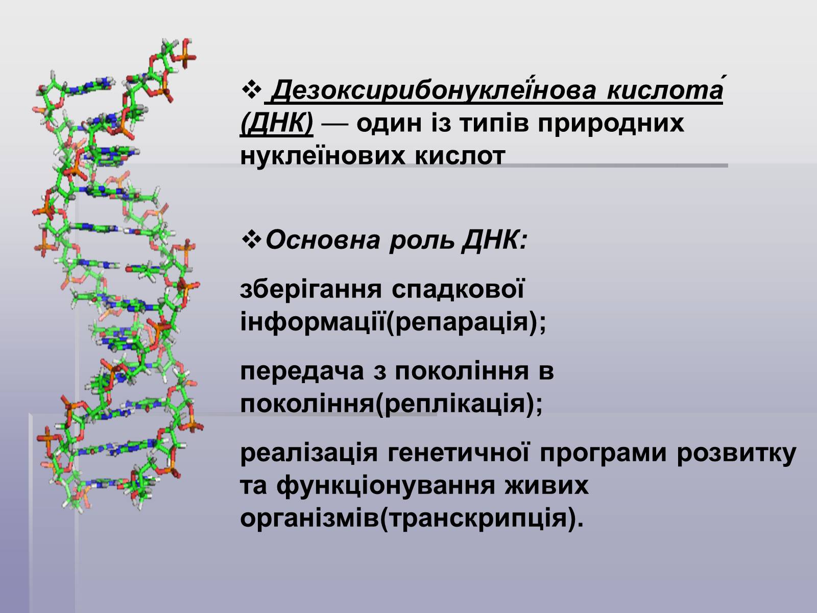 Роль днк. Темы для презентаций ДНК. Нуклеїнові кислоти. Сообщение на тему ДНК. Проект на тему ДНК.