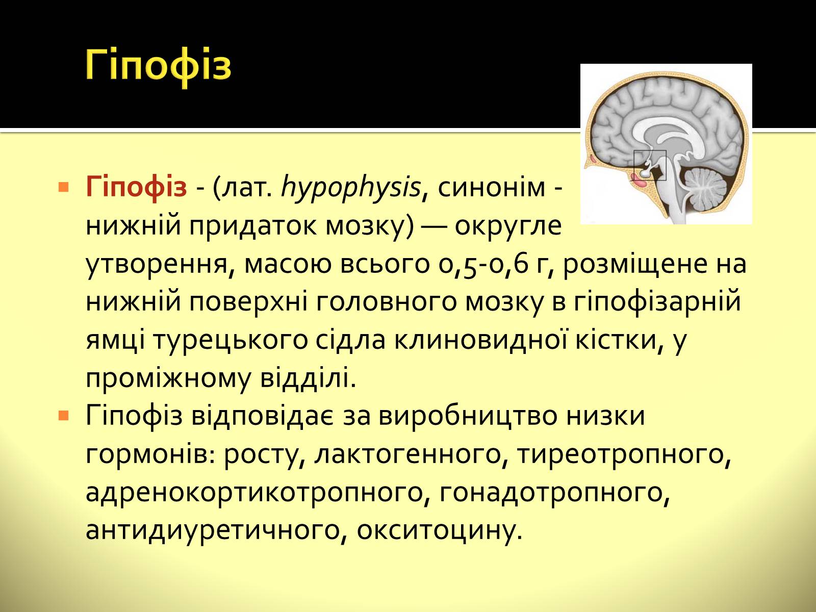 Презентація на тему «Ендокринні залози» - Слайд #3