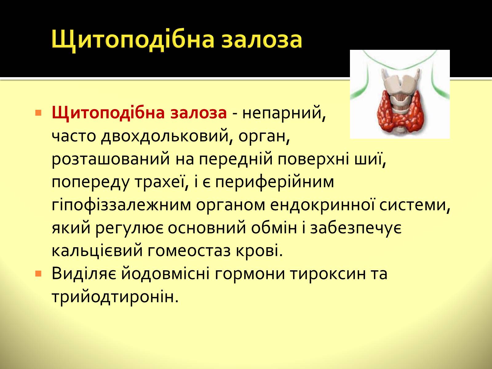 Презентація на тему «Ендокринні залози» - Слайд #5