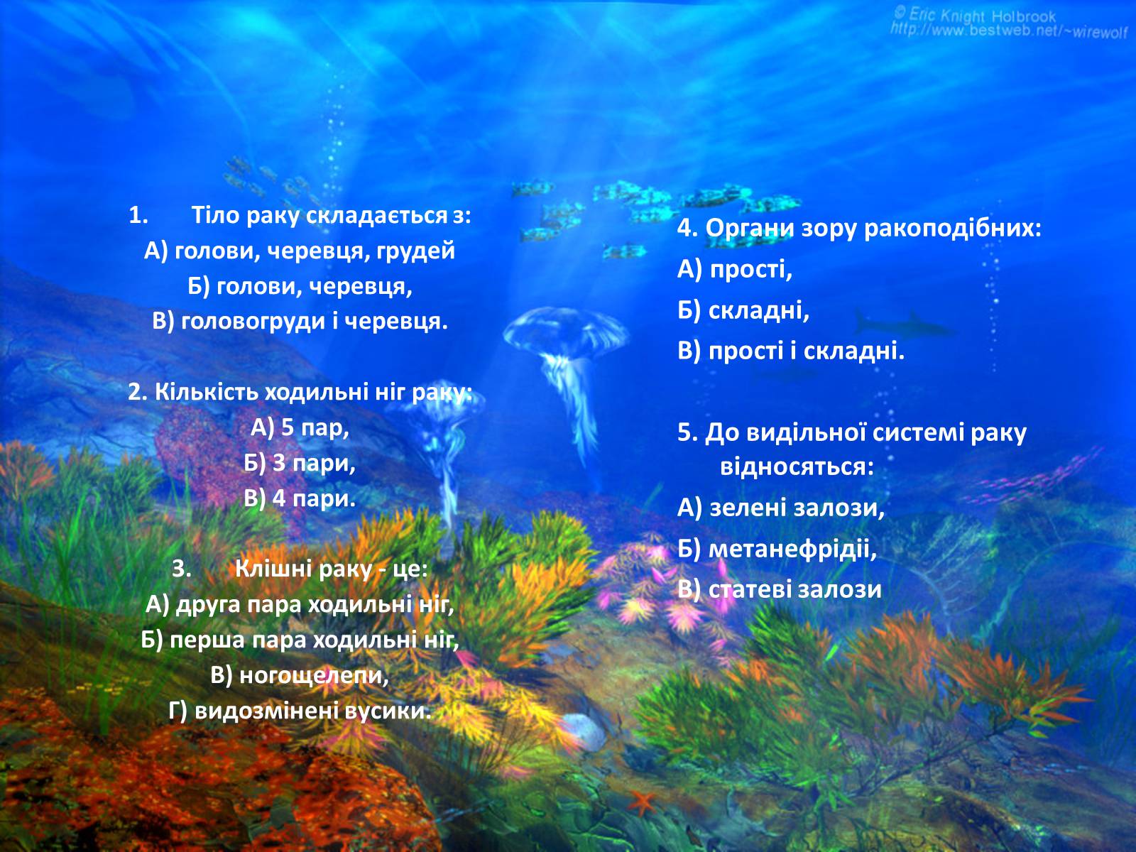 Презентація на тему «Різноманітність ракоподібних» (варіант 2) - Слайд #2