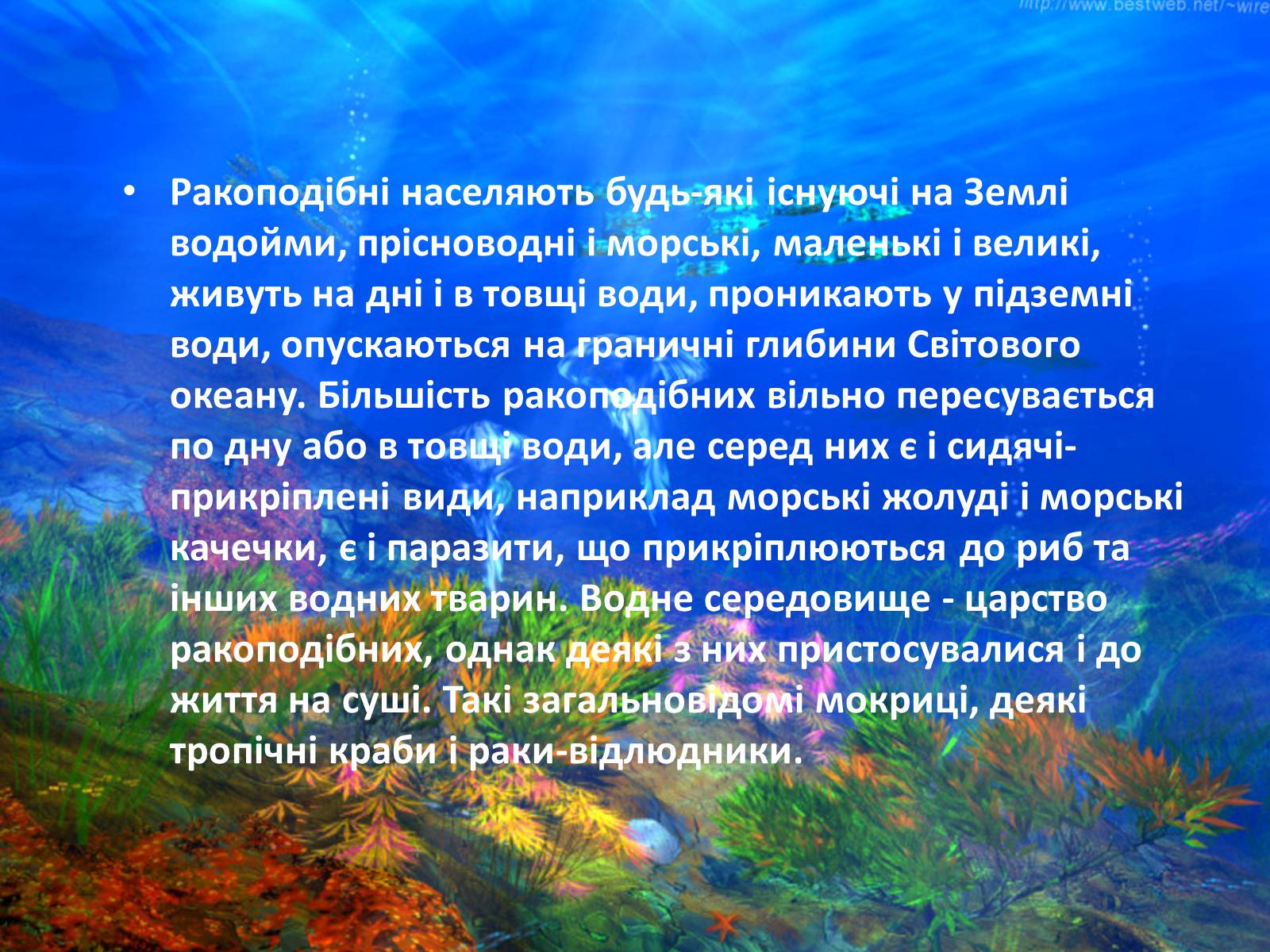 Презентація на тему «Різноманітність ракоподібних» (варіант 2) - Слайд #3