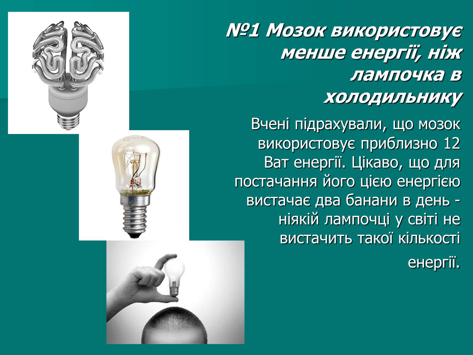 Презентація на тему «Цікаві факти про мозок» - Слайд #2