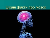 Презентація на тему «Цікаві факти про мозок»