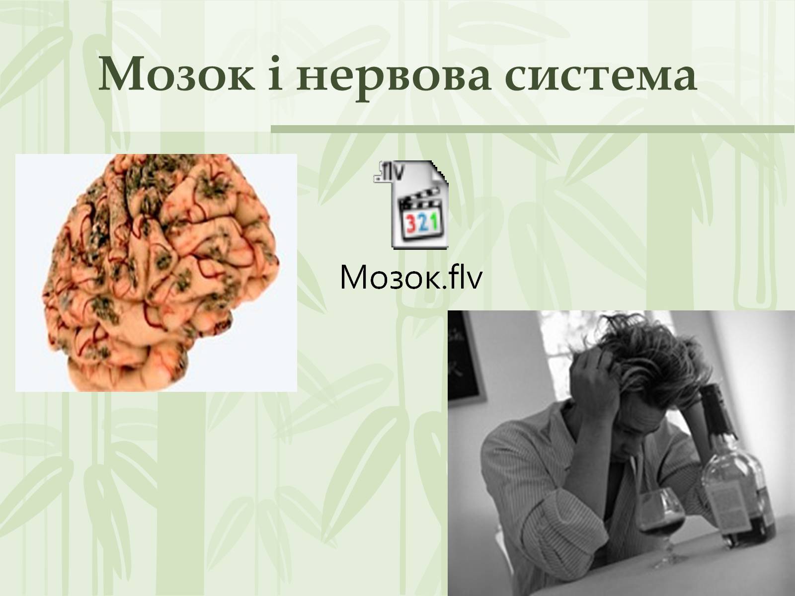 Презентація на тему «Як впливає на репродуктивне здоров&#8217;я алкоголь» - Слайд #11