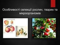 Презентація на тему «Особливості селекції рослин, тварин та мікроорганізмів» (варіант 2)