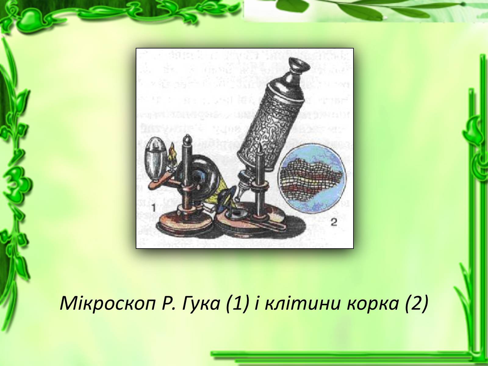 Презентація на тему «Дослідження біологічних об&#8217;єктів» - Слайд #5