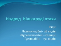 Презентація на тему «Надряд Кільогруді птахи»