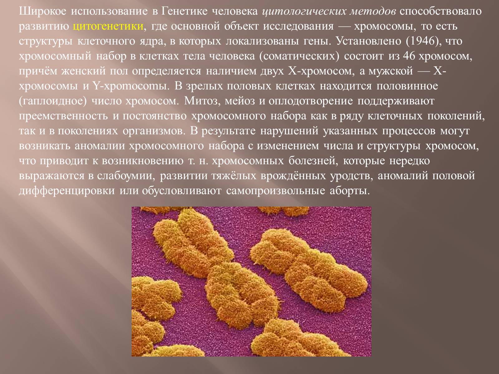 Поколений клеток. Презентация на тему генетика человека. Цитологический метод в генетике. Цитологические методы в генетике. Цитологический метод генетики человека.