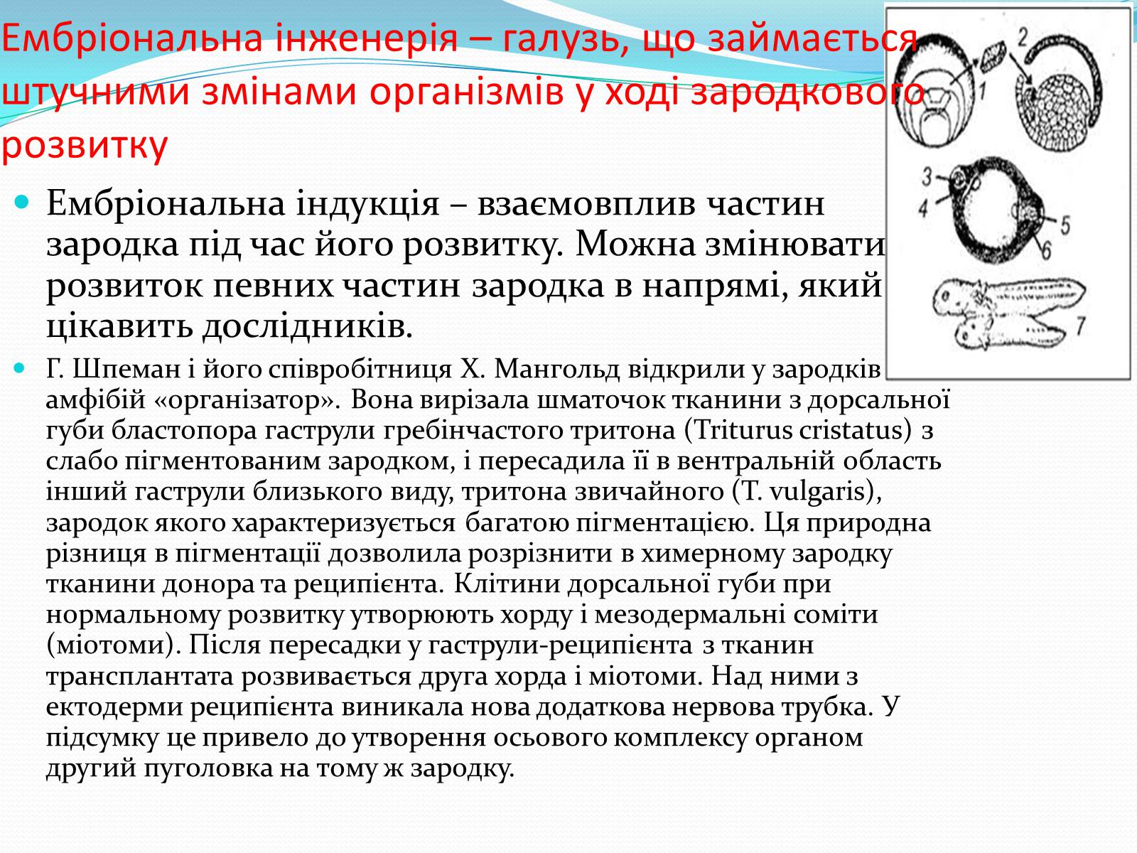 Презентація на тему «Основні напрямки сучасної біотехнології» (варіант 2) - Слайд #15