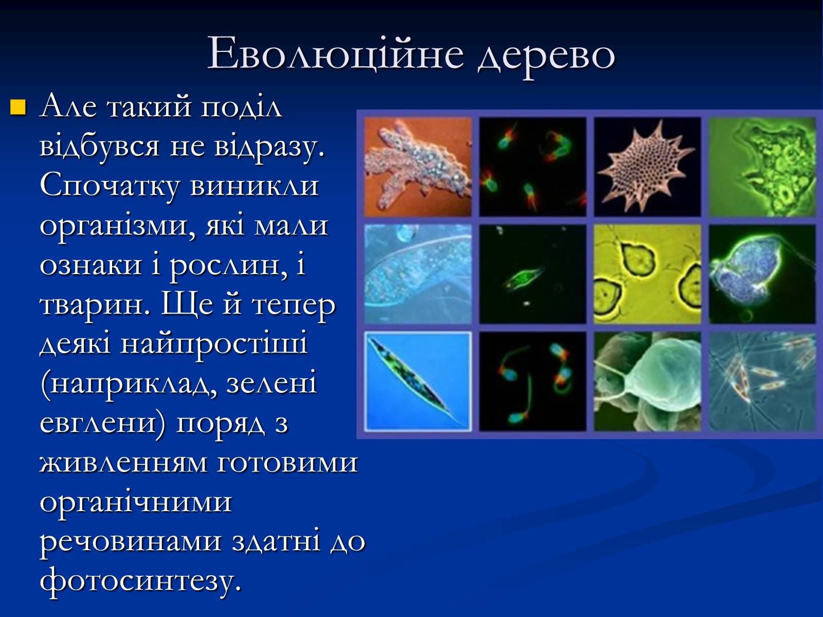 Презентація на тему «Еволюція у наш час» - Слайд #6