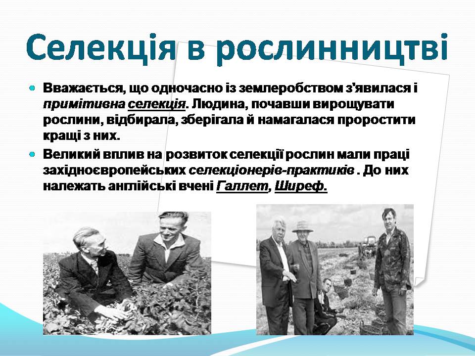 Презентація на тему «Генетичні основи селекції рослин» (варіант 3) - Слайд #4