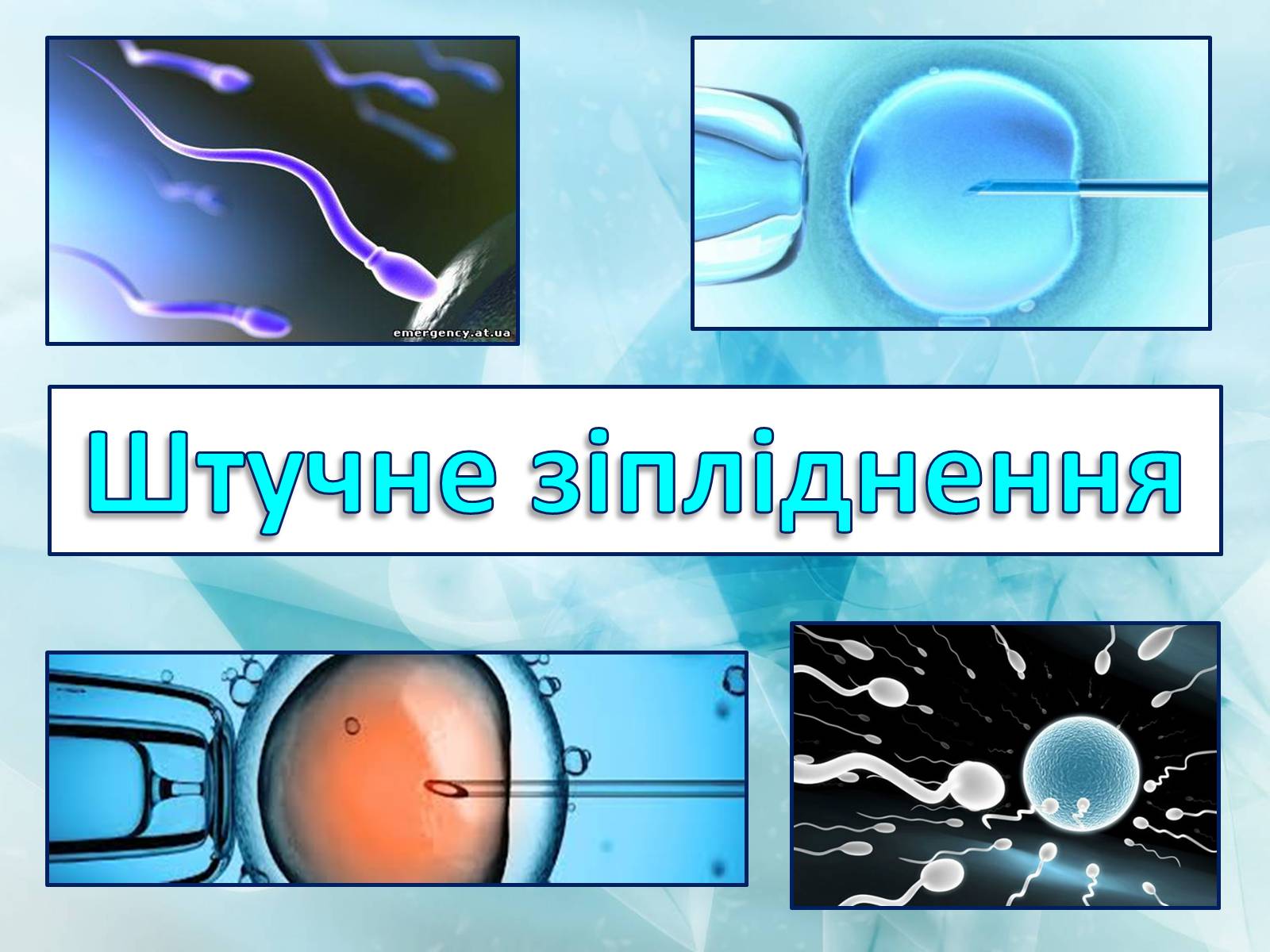 Презентація на тему «Штучне зіпліднення» - Слайд #1