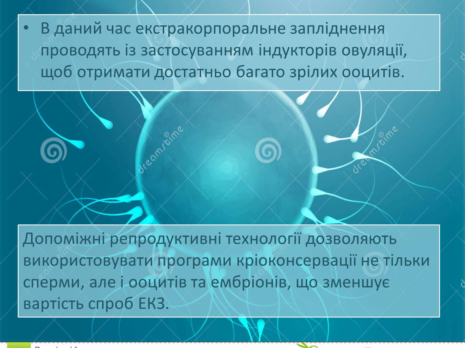 Презентація на тему «Штучне зіпліднення» - Слайд #7