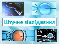 Презентація на тему «Штучне зіпліднення»