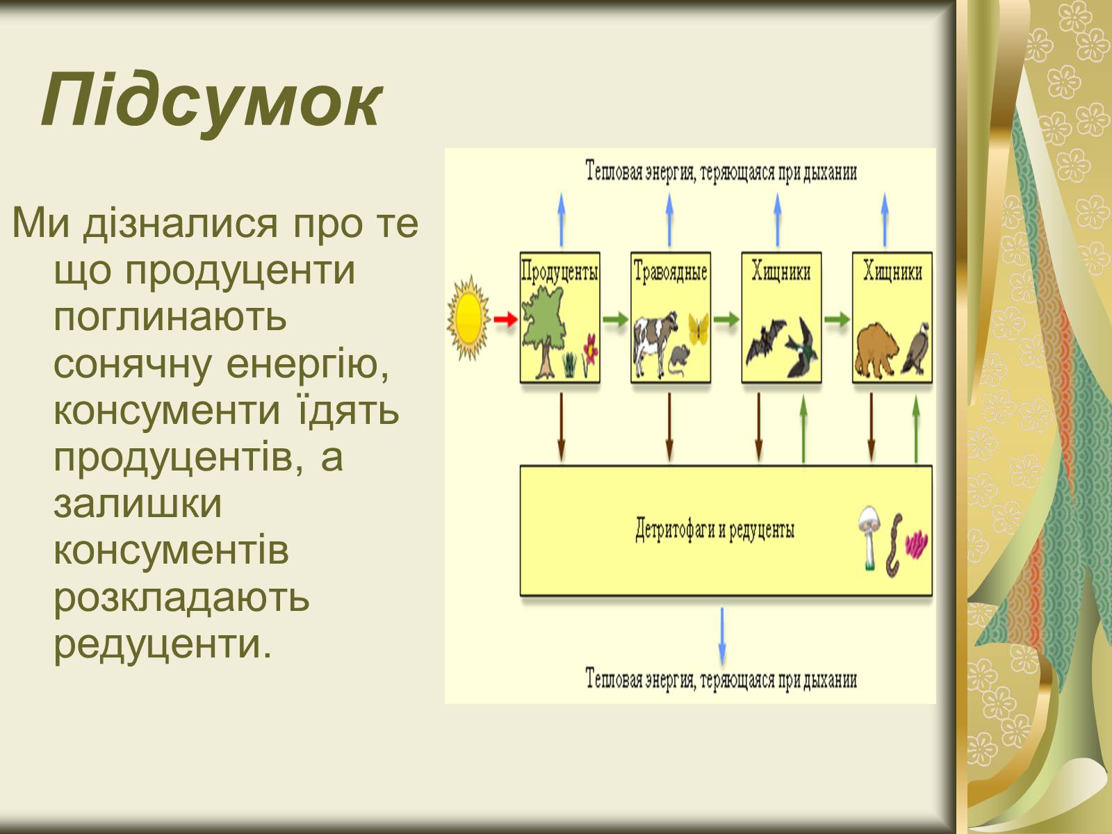 Презентація на тему «Харчовий ланцюг» - Слайд #4