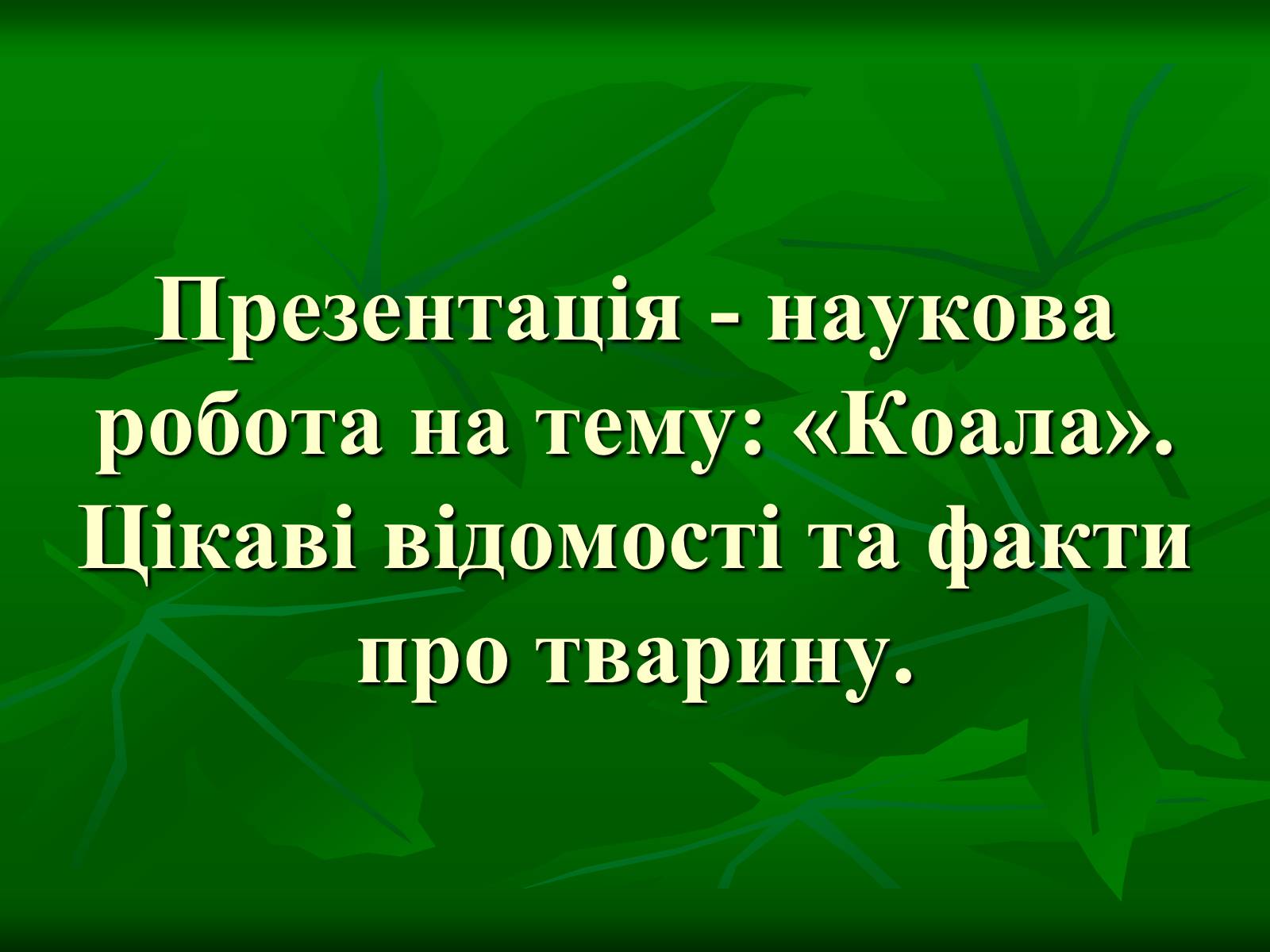 Презентація на тему «Коала» - Слайд #1