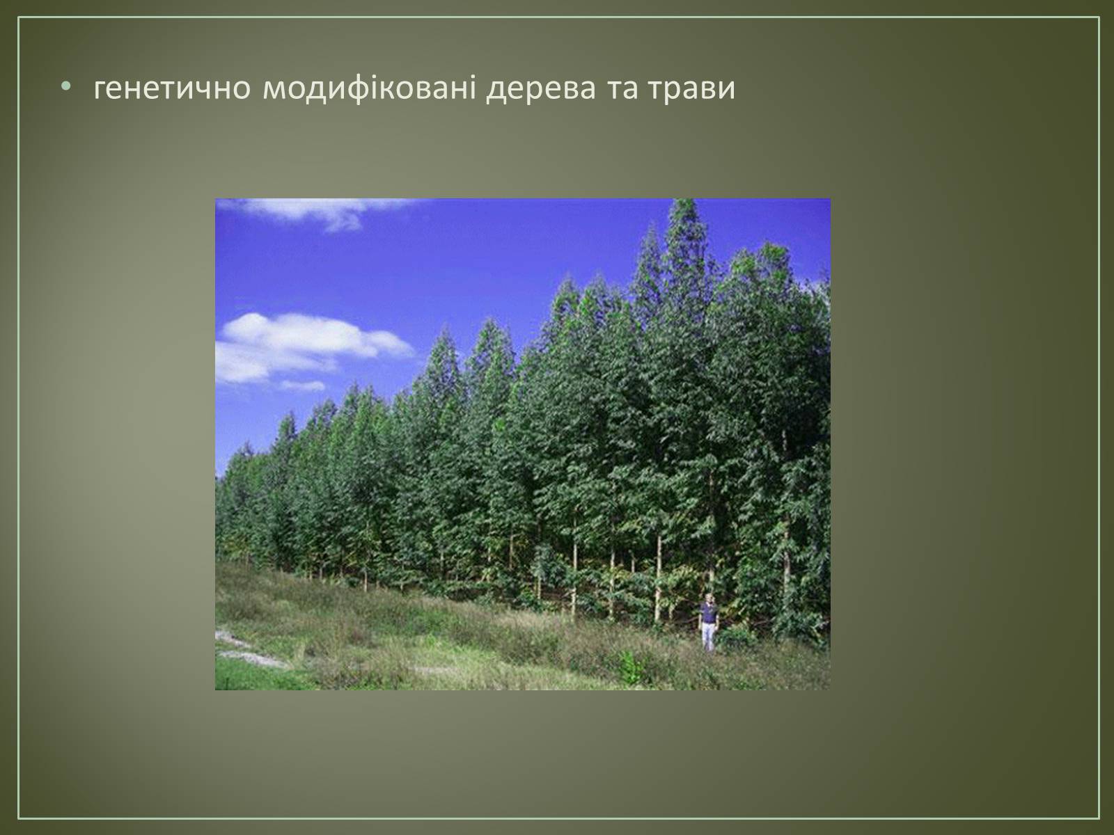 Презентація на тему «Основні напрямки біотехнології» - Слайд #15