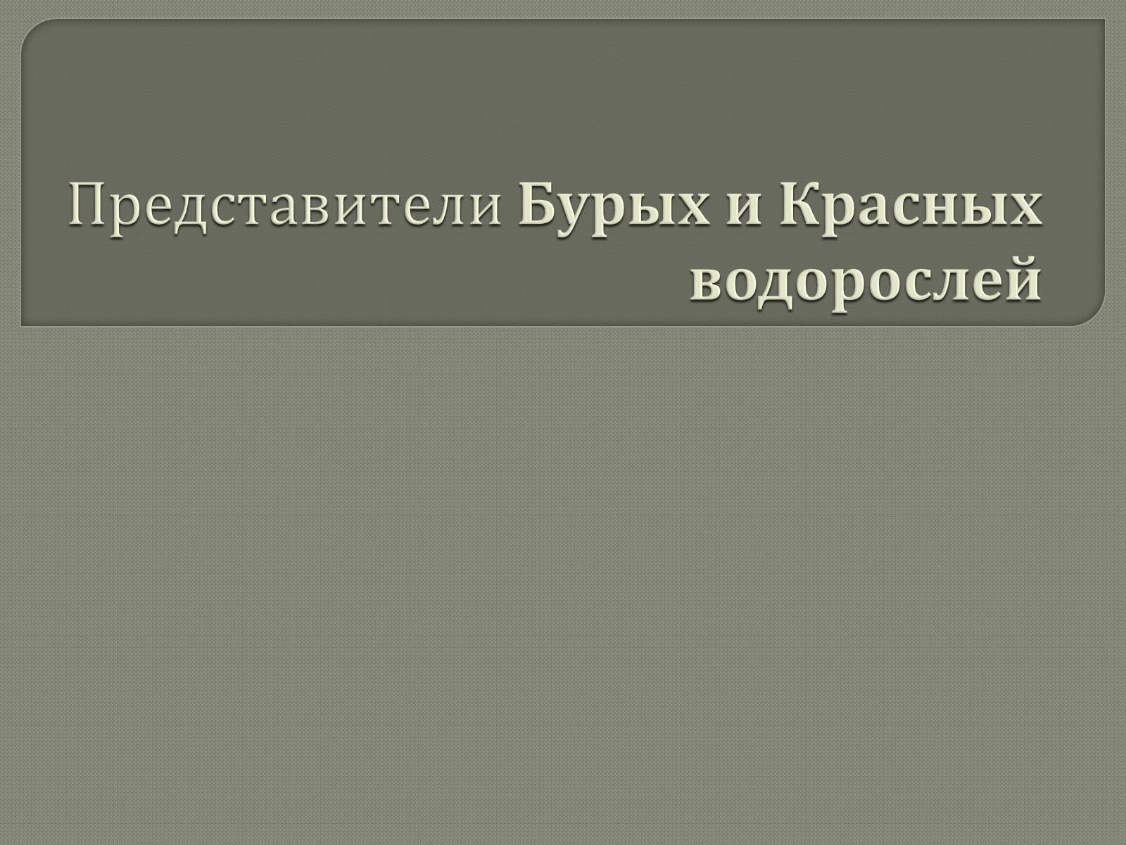 Презентація на тему «Представители Бурых и Красных водорослей» - Слайд #1