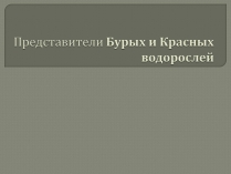 Презентація на тему «Представители Бурых и Красных водорослей»