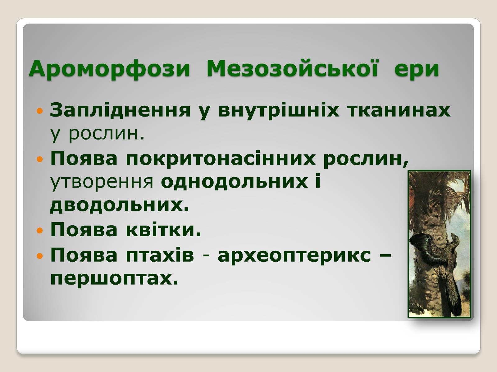 Презентація на тему «Основні ароморфози в еволюції» - Слайд #12