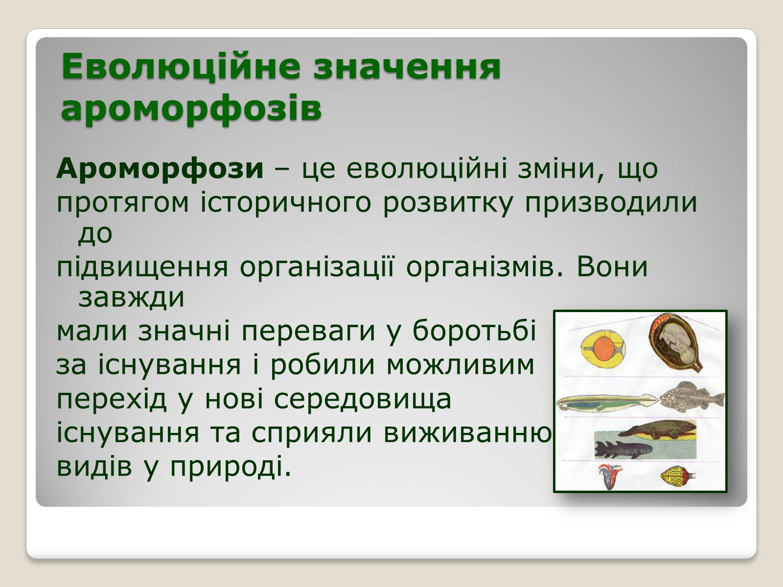 Презентація на тему «Основні ароморфози в еволюції» - Слайд #17