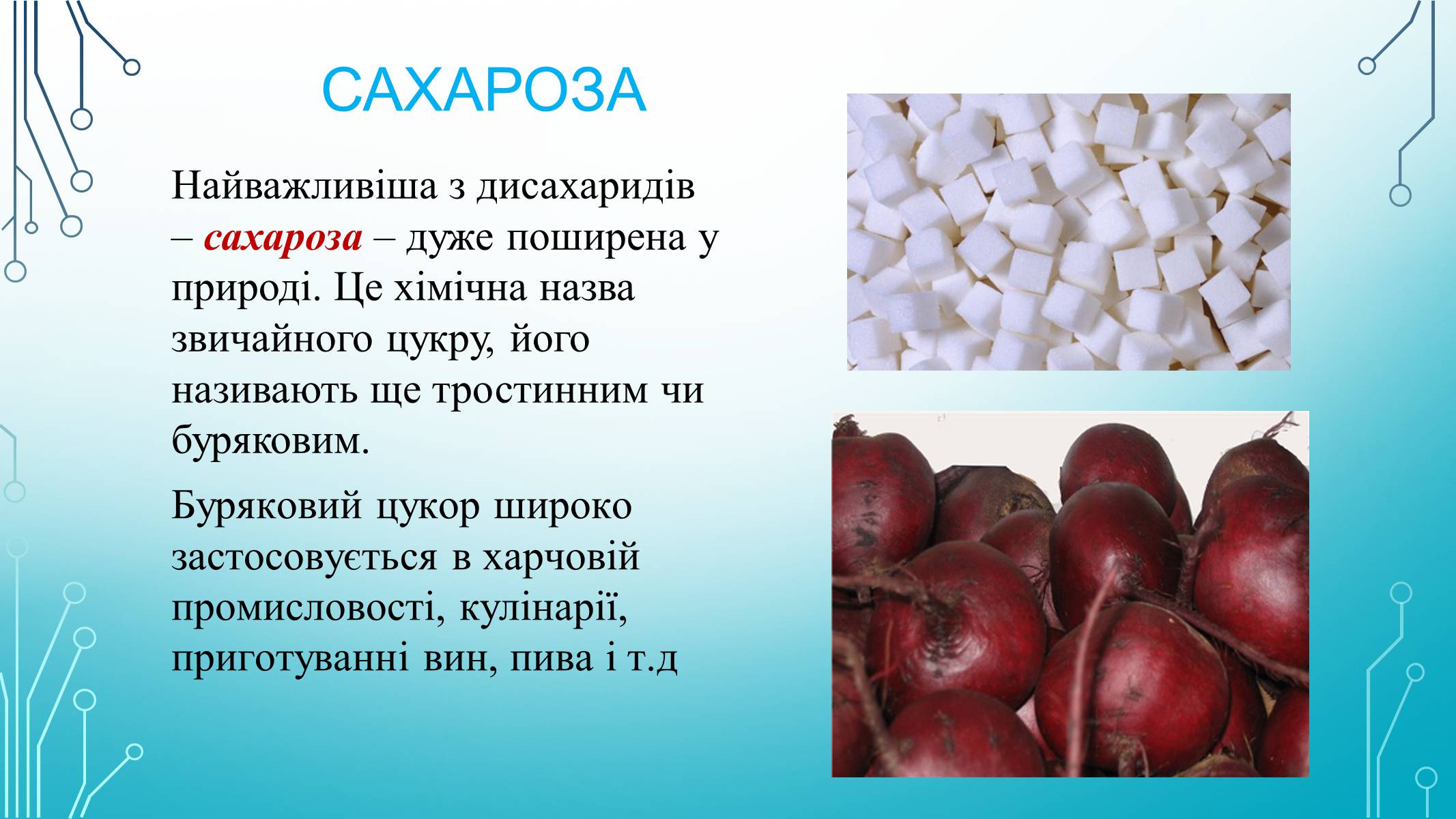 Презентація на тему «Вуглеводи як компоненти їжі, їх роль у житті людини» (варіант 29) - Слайд #11