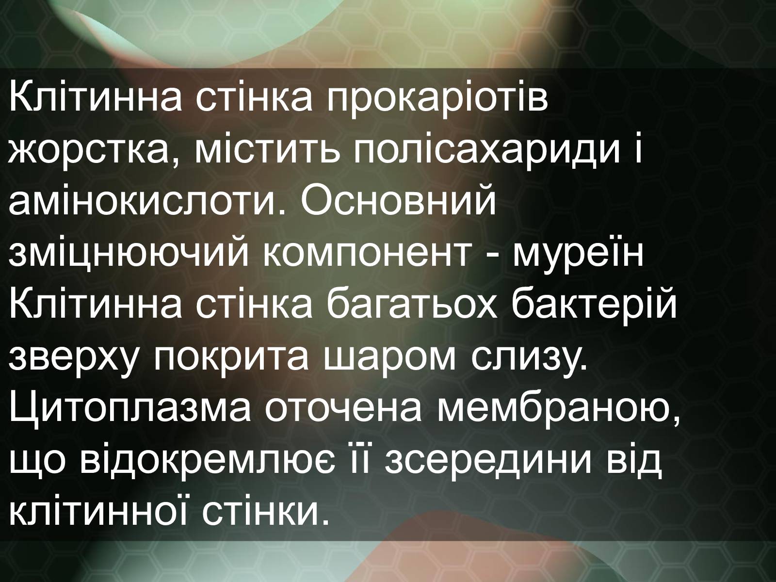 Презентація на тему «Прокаріотична клітина» - Слайд #11