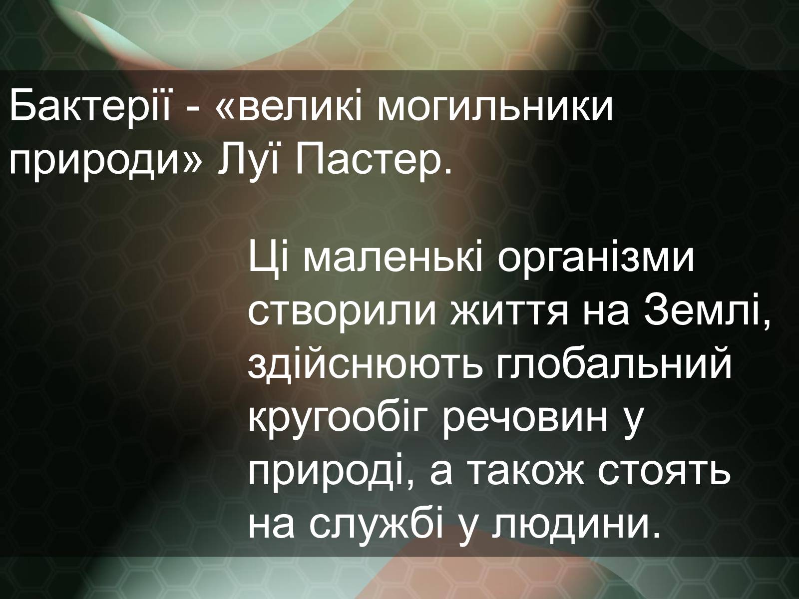 Презентація на тему «Прокаріотична клітина» - Слайд #2