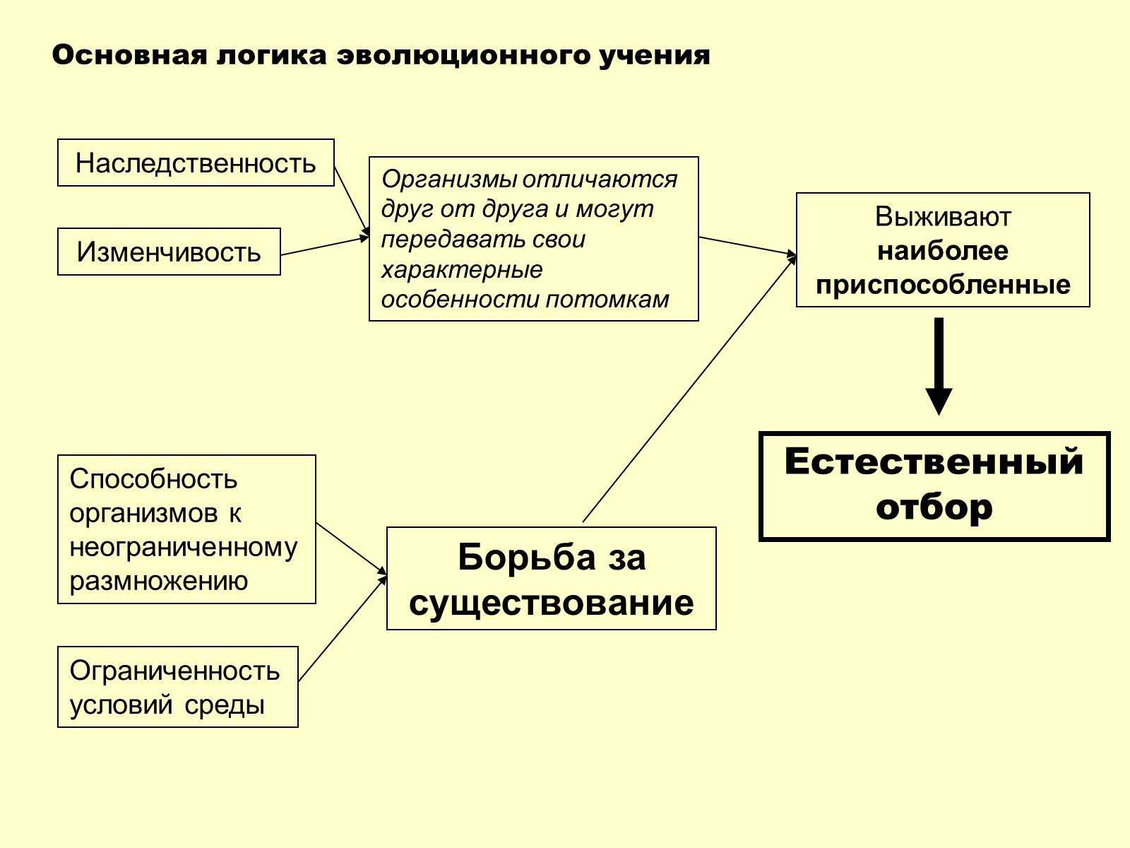 Эволюционное учение. Логическая схема эволюционной теории Чарльза Дарвина:. Логика эволюционного учения Дарвина. Эволюционная теория Дарвина схема. Схема естественного отбора по Дарвину.