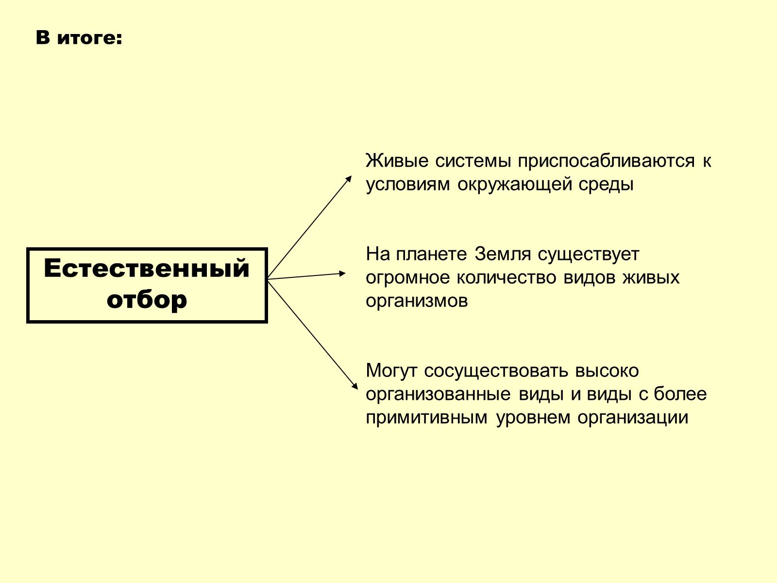 Презентація на тему «Эволюционная теория Дарвина» - Слайд #7