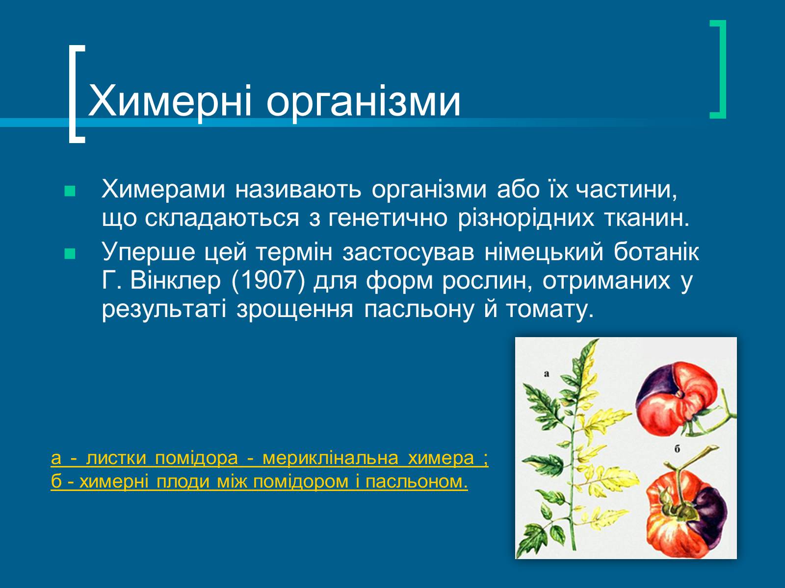 Презентація на тему «Трансгенні організми» (варіант 7) - Слайд #15