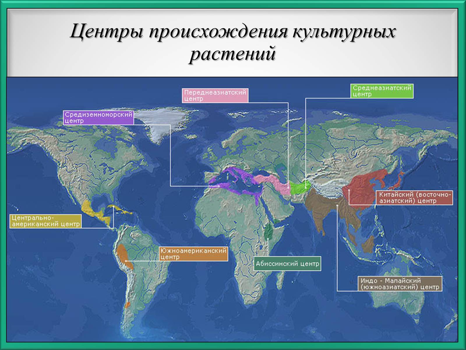 Презентація на тему «Центры происхождения культурных растений по Вавилову» - Слайд #3